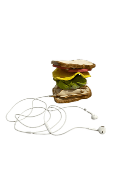 Turkey Swiss Sandwich