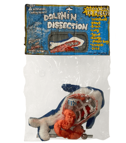 Dolphin Dissection