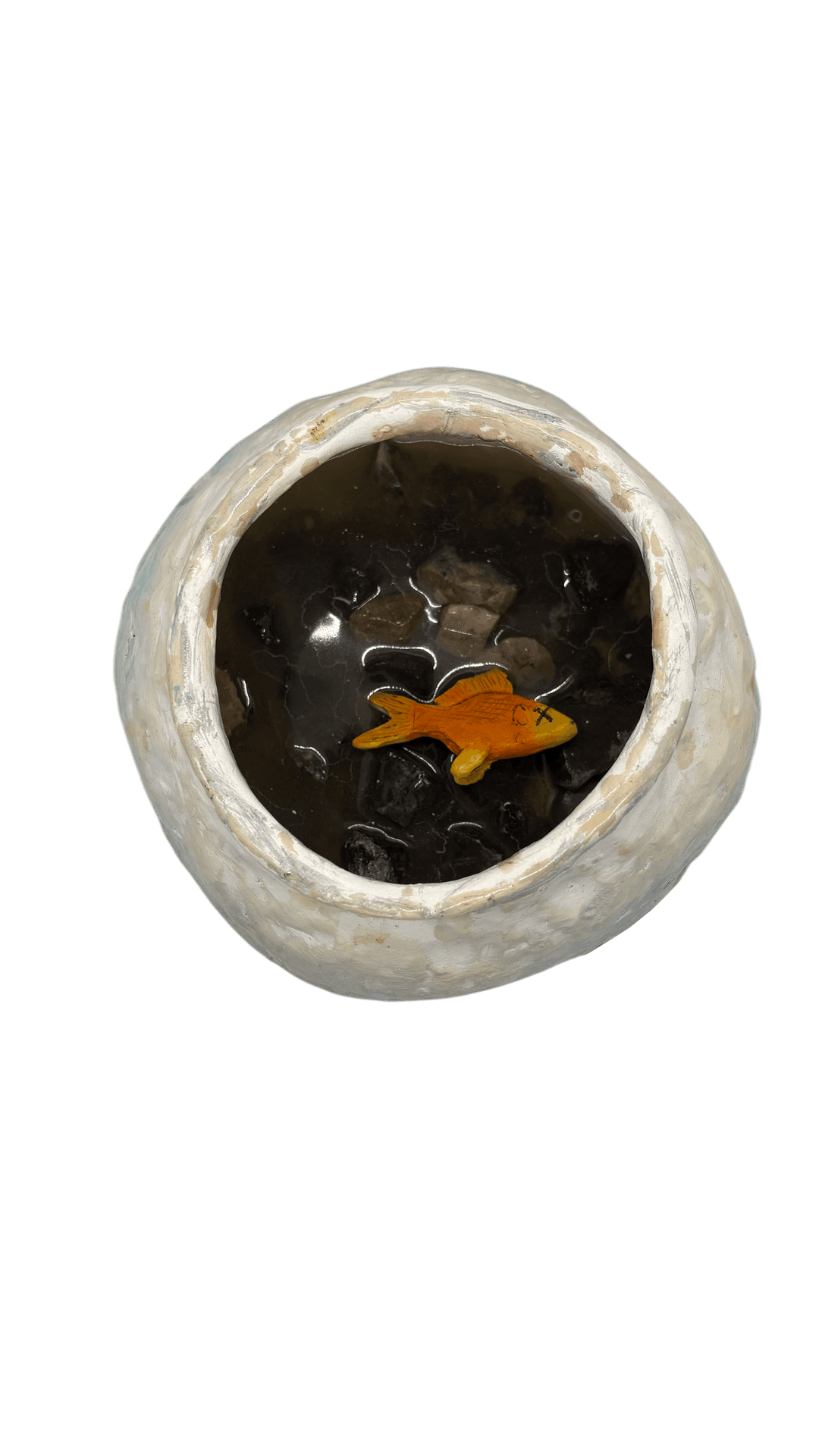 Fish Bowl