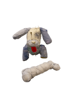 Frankendoggie and Bone